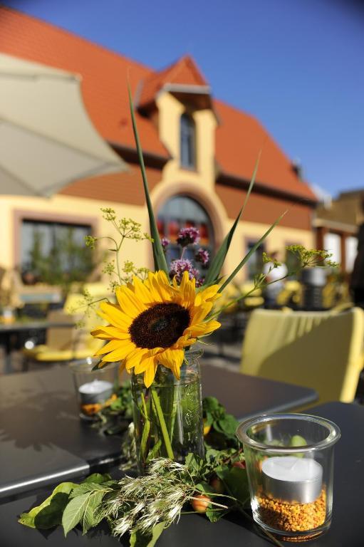 Wohlfuehlhotel Alte Rebschule Rhodt unter Rietburg Zewnętrze zdjęcie