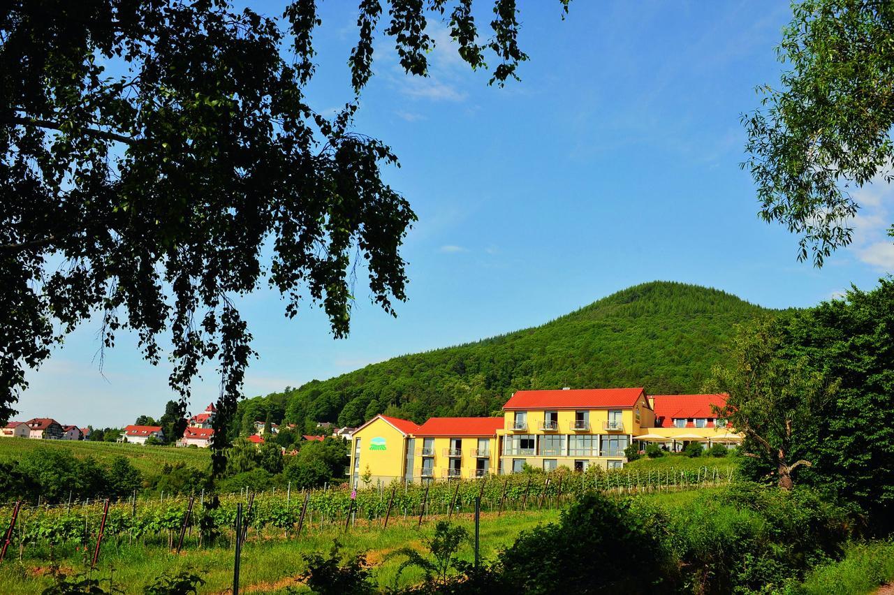 Wohlfuehlhotel Alte Rebschule Rhodt unter Rietburg Zewnętrze zdjęcie